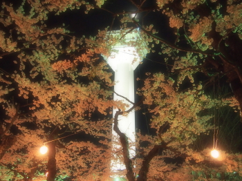 ƌܗŊs^[