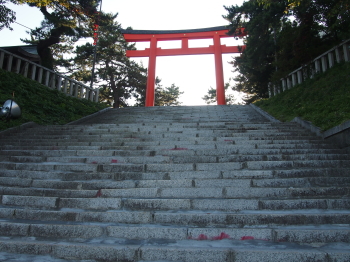 ٌ썑_