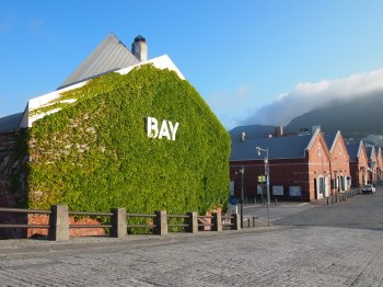 Xq BAY͂